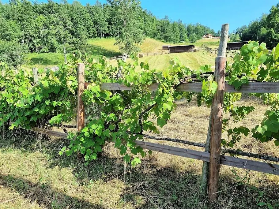 Apartmán Oasi Di Pace Nella Val Di Taro Compiano Itálie